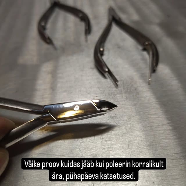 Küünenahatangid 12